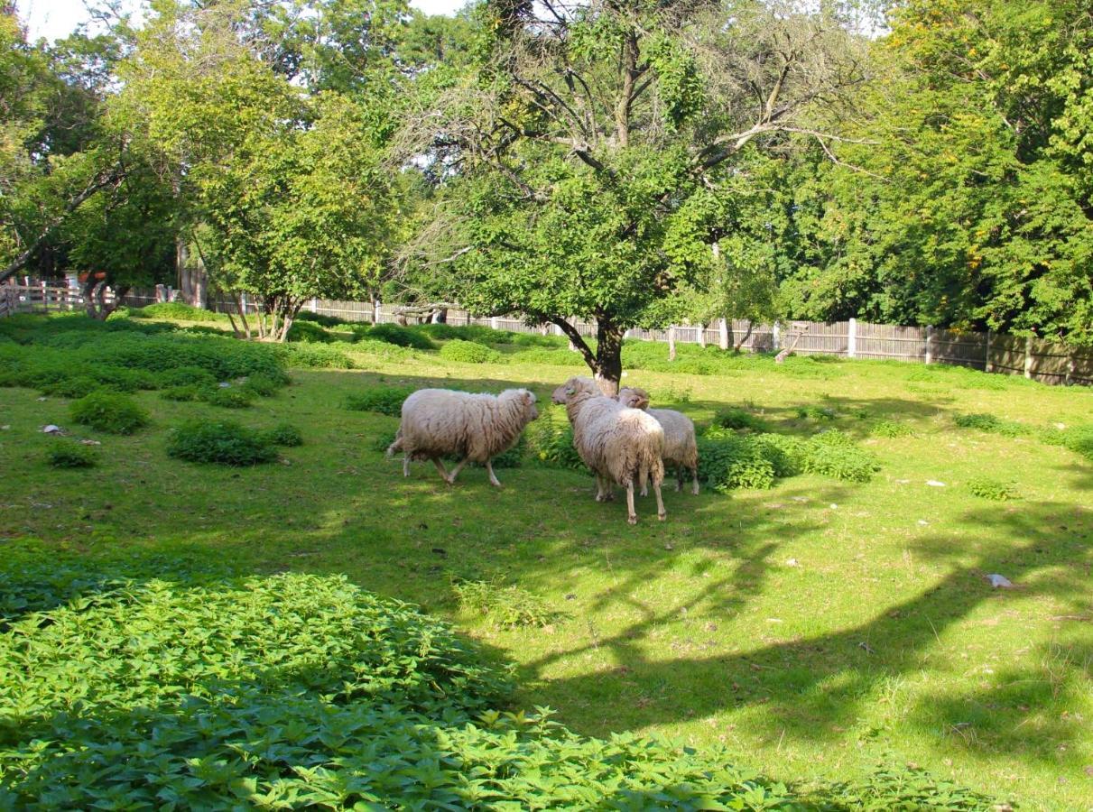 Lovecký zámeček pod Milešovkou Teplice Exterior foto